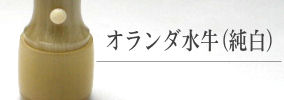 オランダ水牛(純白)