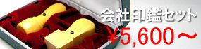 会社設立SET