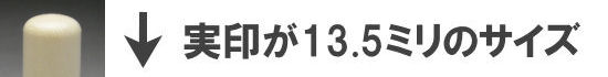 実印が13.5ミリのサイズ